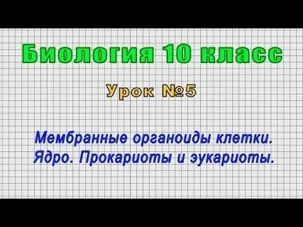 Эволюция видеоурок 11 класс