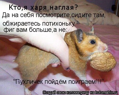 Увидевший сидевший