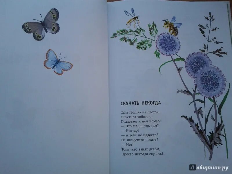Скучать некогда стихотворение. Скучать некогда стихотворение г Ладонщиков. Стихотворение села Пчелка на цветок. Г Ладонщиков села Пчелка на цветок. Скучать некогда села Пчелка на цветок