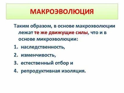 2 макроэволюция
