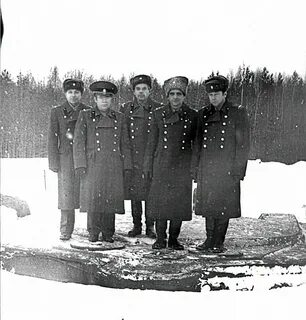 1009 полка
