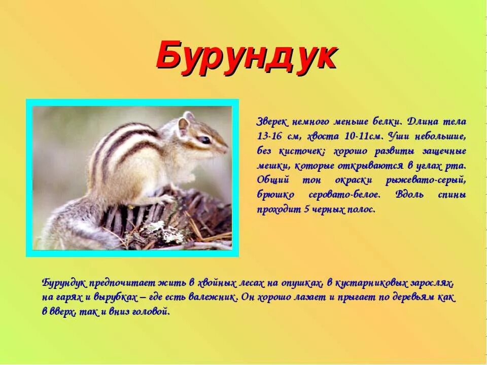Сообщение о животном 3 класс окружающий