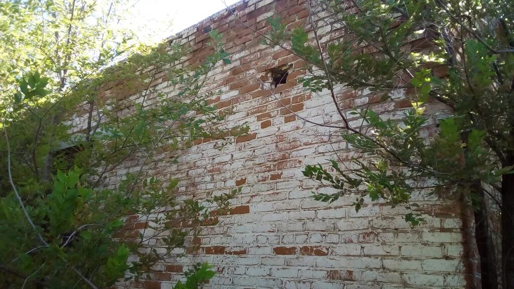 Погода в горяйновка духовницкого. Погода в горяйновка духовницкого. Горяйновка саратовская область духовницкий. С. Погода в горяйновка духовницкого.