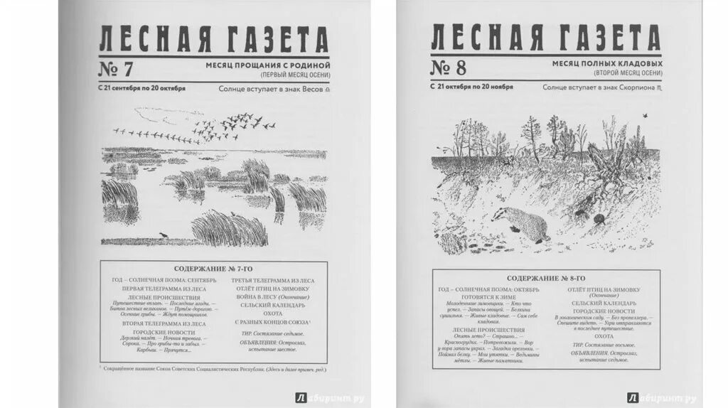 Лесная газета аудиокнига. Лесная газета. Бианки в. в. "Лесная газета". Лесная газета картинки. Бианки Лесная газета картинки.