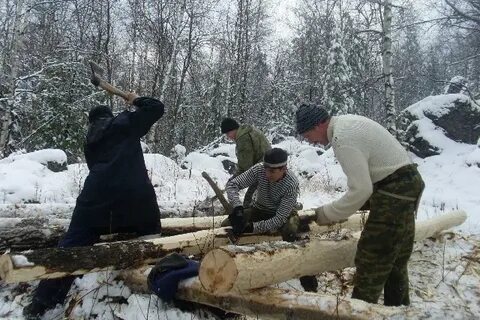Лесоповал тайга