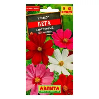 Семена космоса