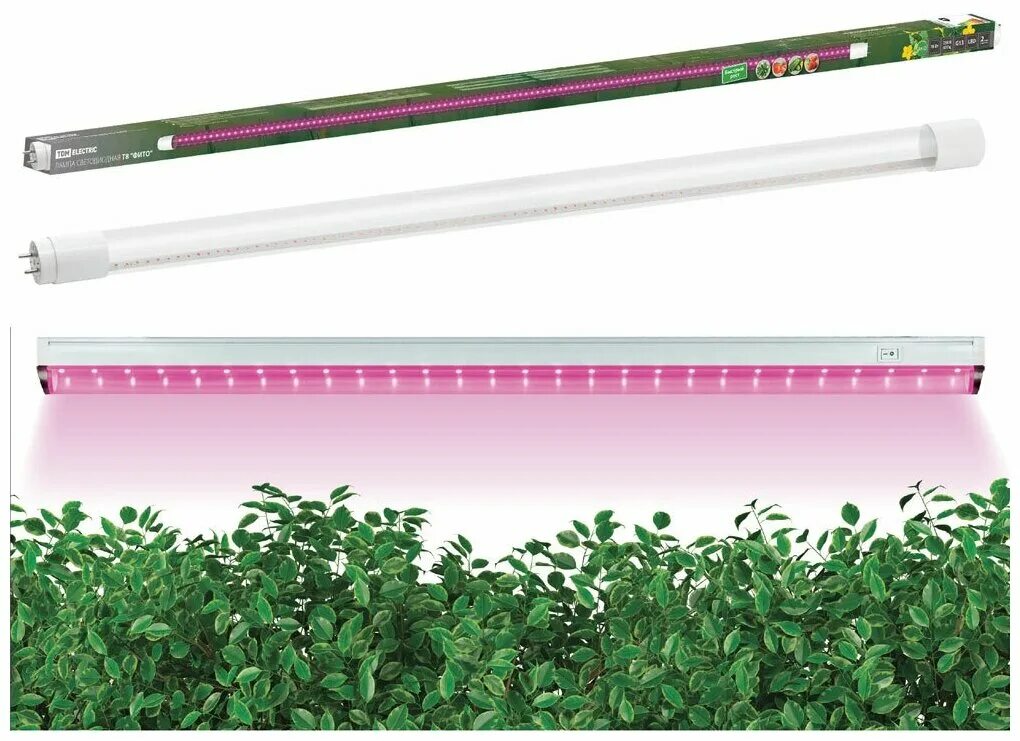 Фито лампы t8. Фито лампы t8. Фитолампа светодиодная uniel t8 9w, для растений, с выключателем. Лампа для растений 9w т-8 t27 tdm. Светодиодная лампа т8 , 20 w.
