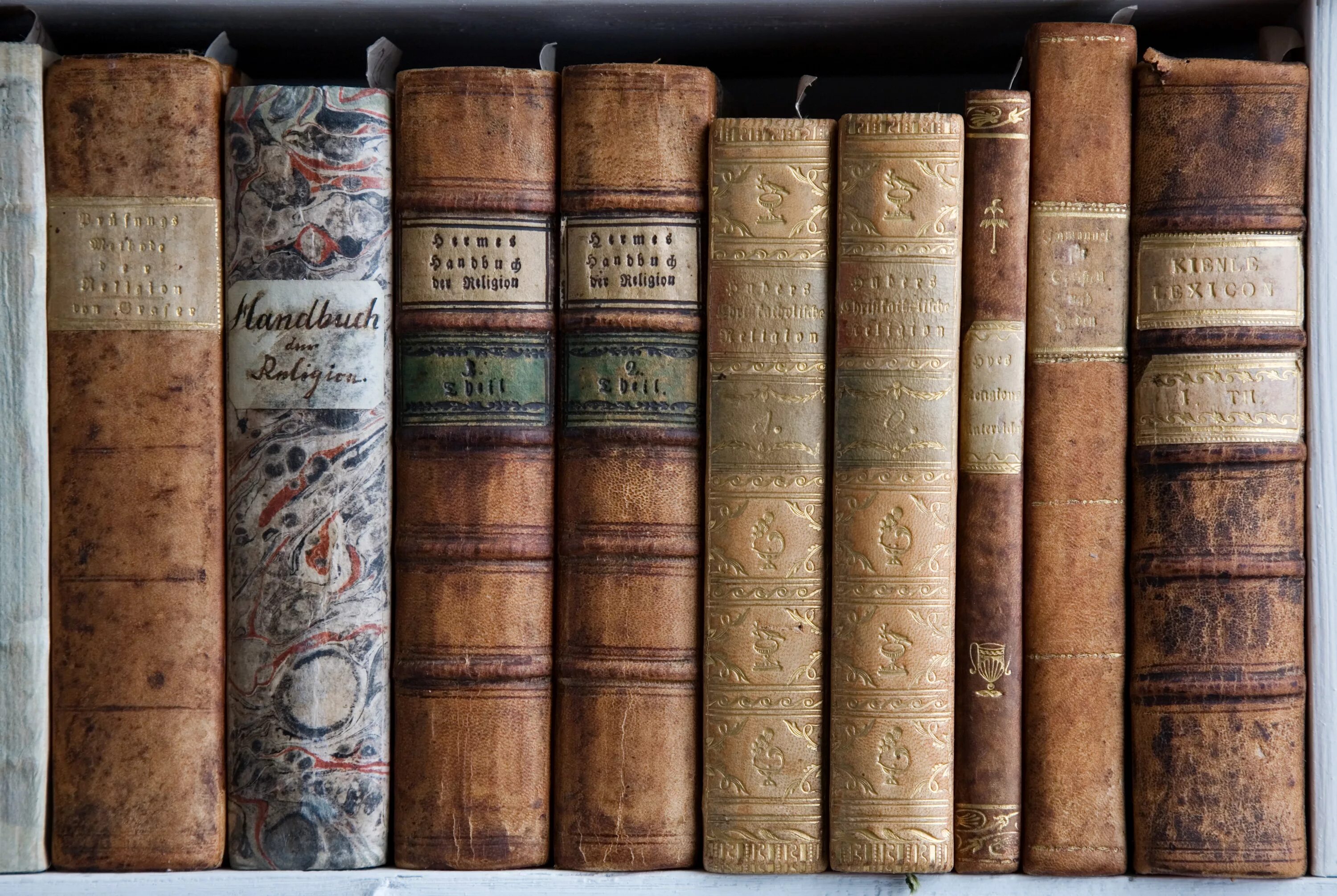 Корешок книги. Красивые корешки книг. Корешок книги. Полки для книг. Корешок книги.