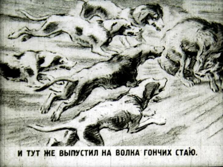 Тут же выпустил