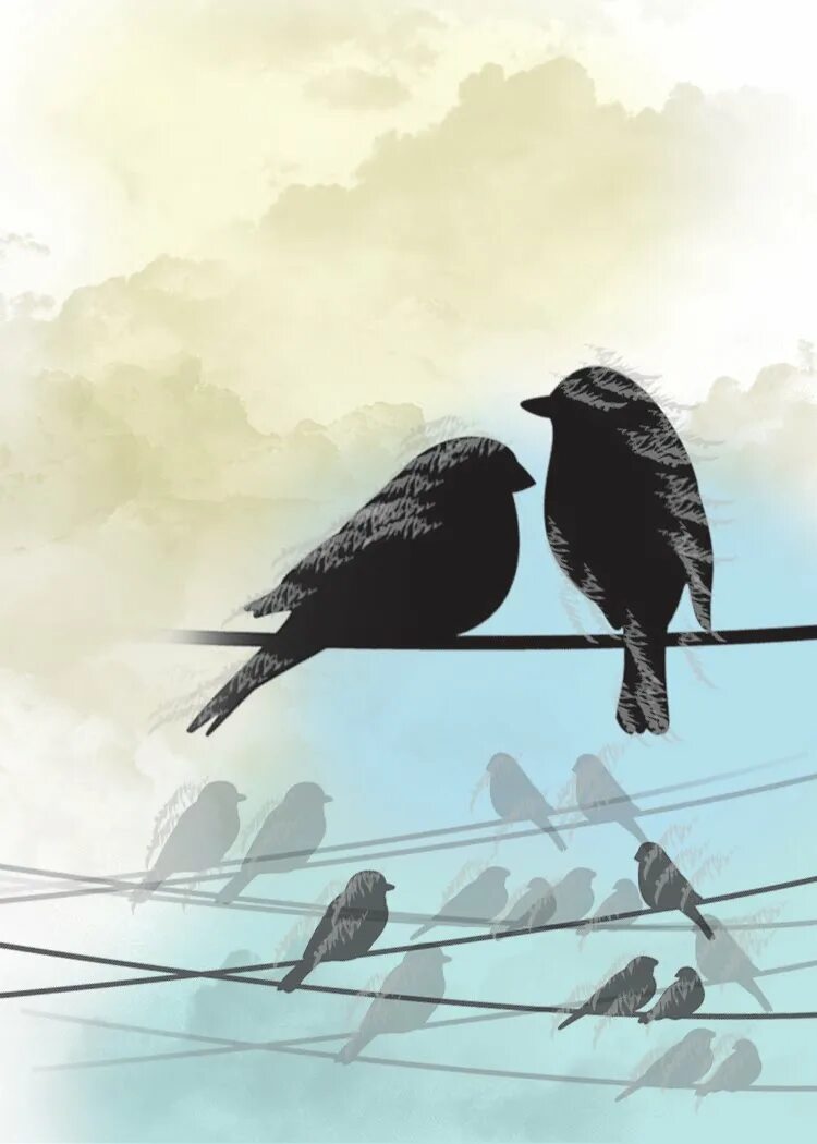 Две птицы. Two Birds on a wire. Две птички картинки. Обои на телефон две птички. Песня two birds on a wire