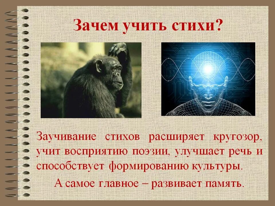 Зачем учить стихи