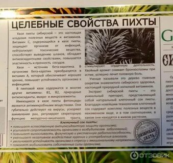 Свойства пихты