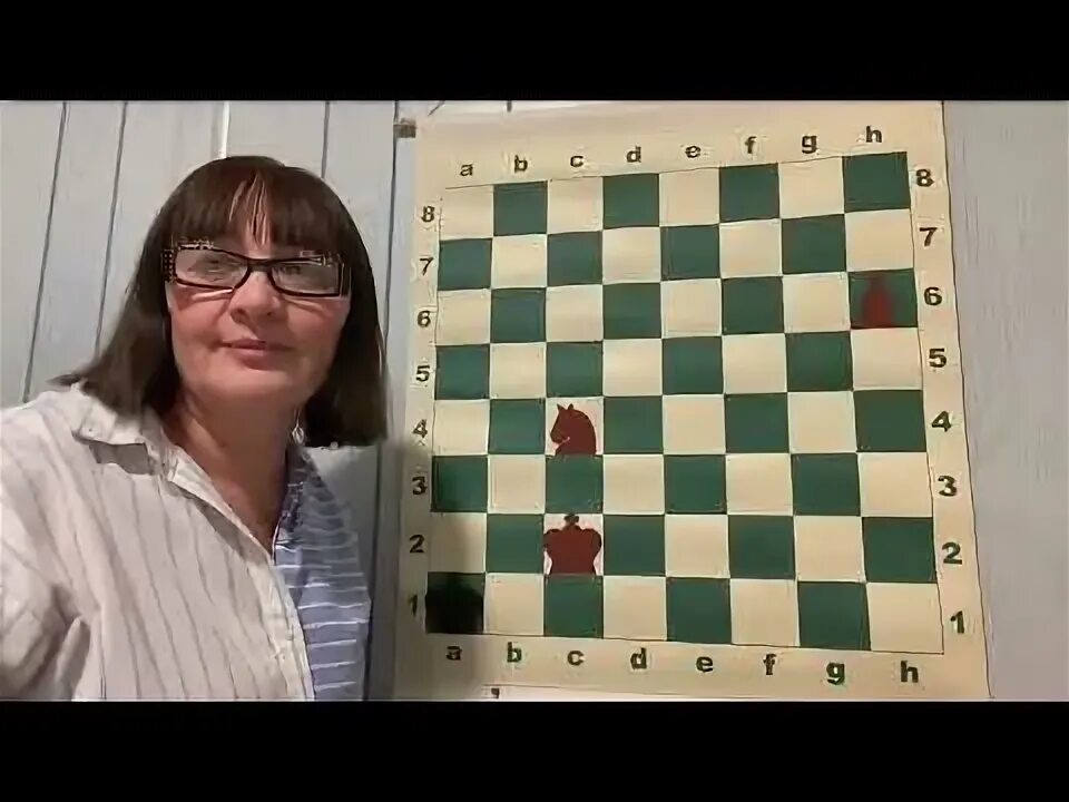 Шахматы научиться играть для начинающих с нуля. Динозавры учат шахматам. научиться играть в шахматы с нуля.
