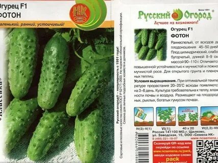 Названия огурцов лучшие сорта