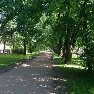 Пастернак аллея