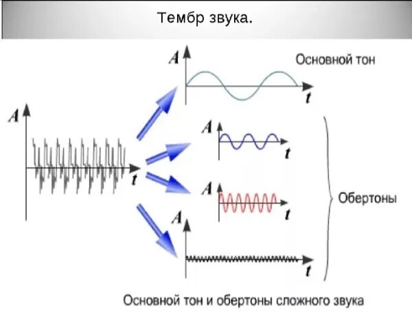 Принцип звучания. Высота и тембр звука физика 9 класс. Высота тембр и громкость звука 9 класс. Тембр звука это в физике. Основной тон и обертоны.