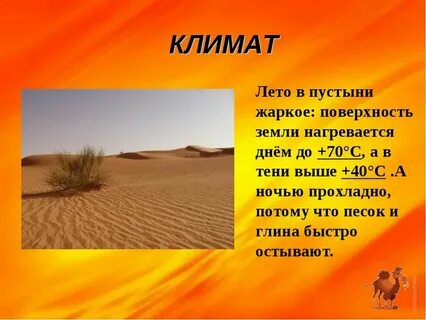 Природная зона пустыни почвы