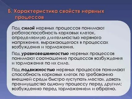 Сила нервной системы