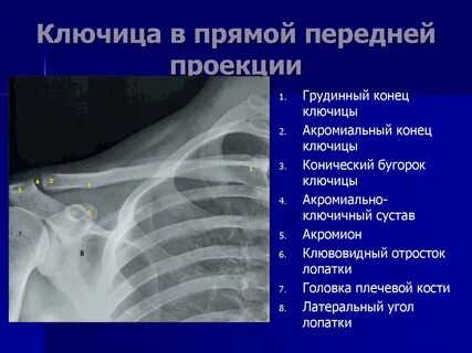 Акромиально ключица