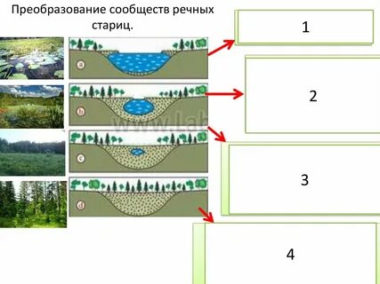 Схема сообществ