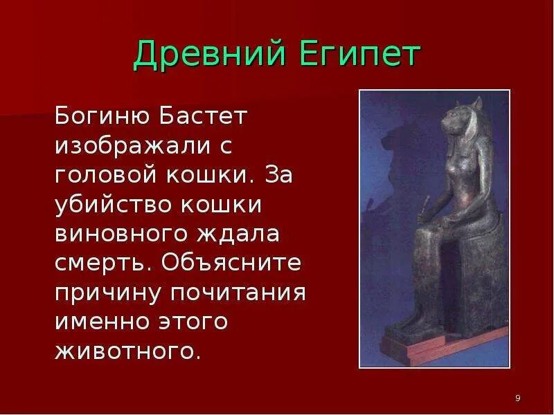 Бог бастет в древнем египте 5 класс. Боги древнего египта бог бастет. богиня бастет в древнем египте 5 класс. сообщение о богине бастет.
