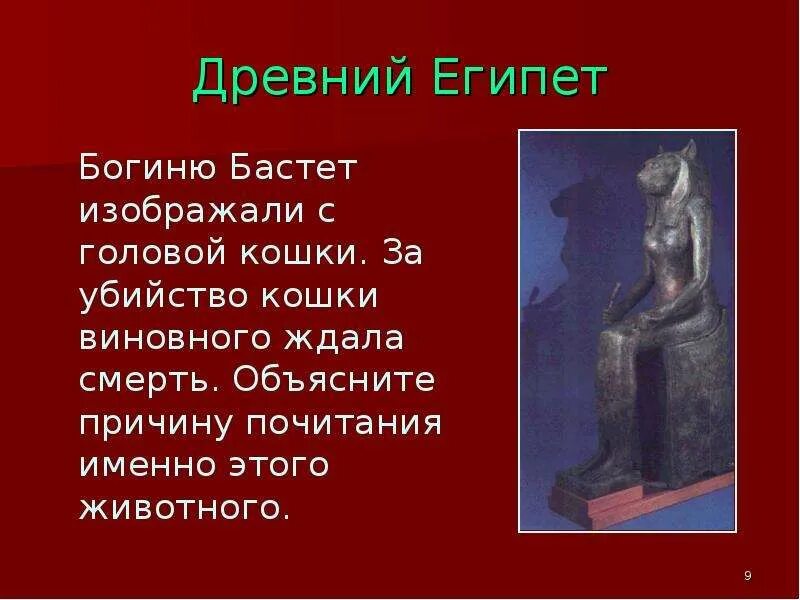 Повторить историю 5 класса. Боги древнего Египта Бог Бастет. Богиня Бастет в древнем Египте 5 класс. Бастет богиня доклад. Бог Бастет в древнем Египте 5 класс.