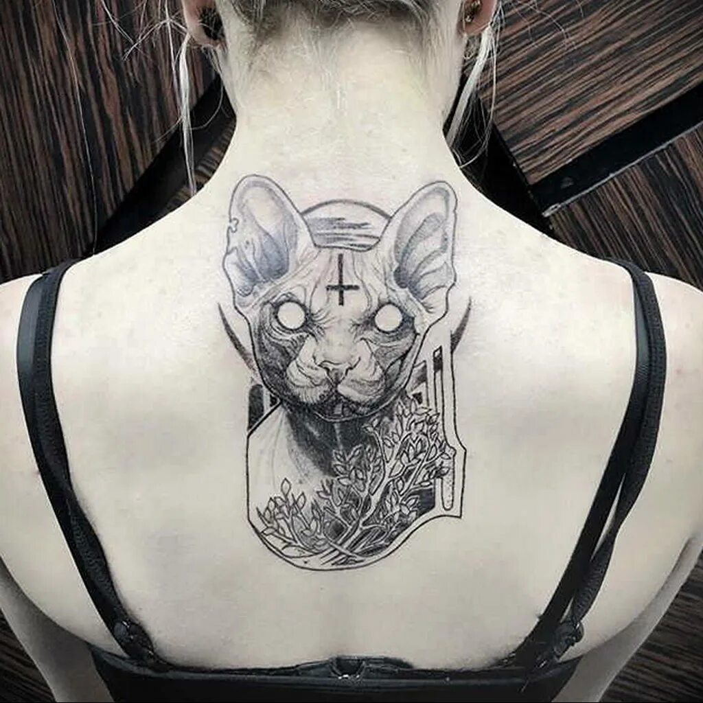 Тату кошка. Сфинкс дотворк. Тату кошки сфинкс. Кот сфинкс тату. Кот сфинкс тату.