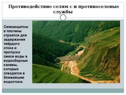 Виды сели