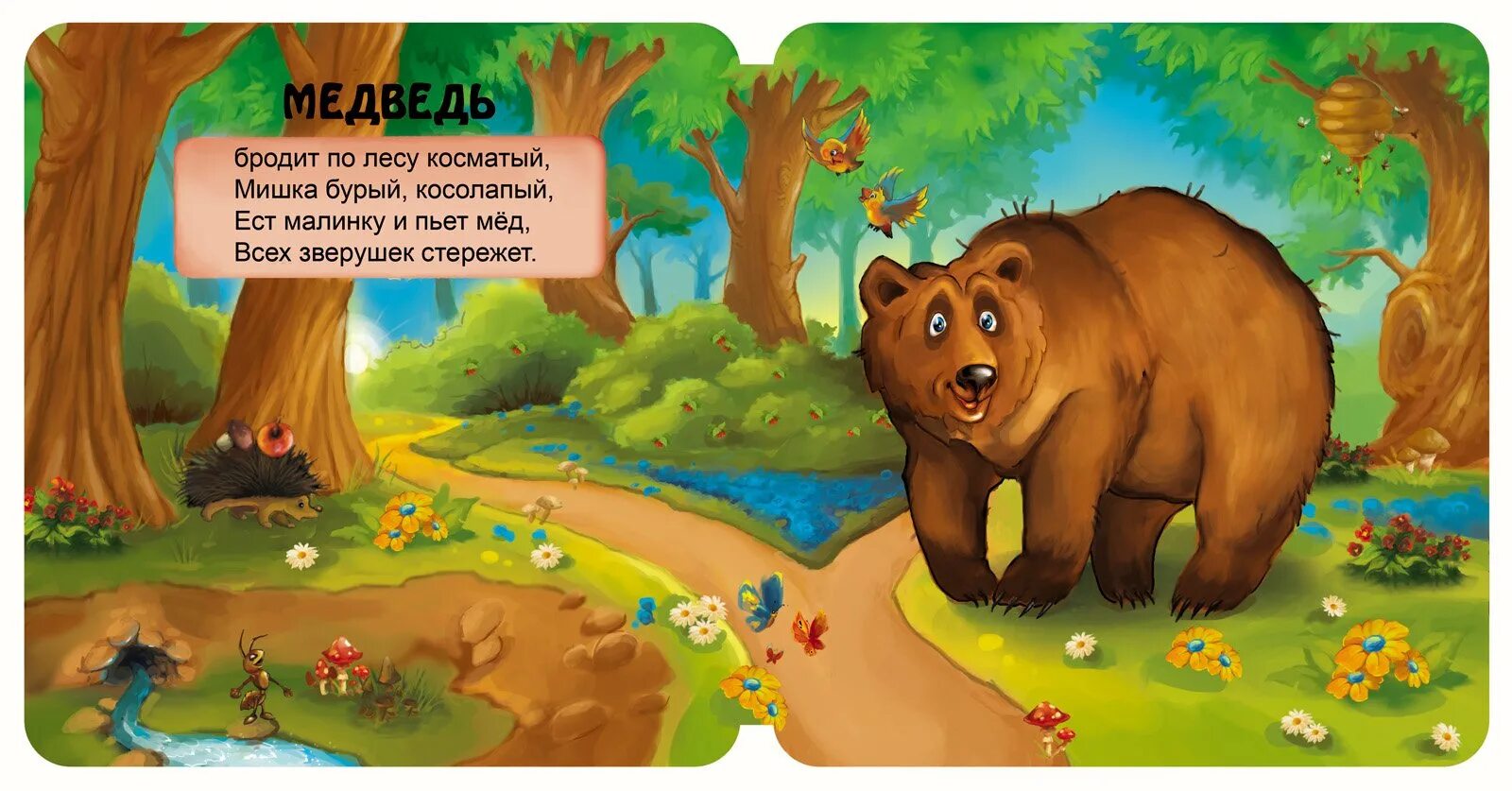 Вдруг упала шишка. Мишка косолапый. Медведь с тропинкой для детей. Медведь для детей. Мишка косолапый картинка.