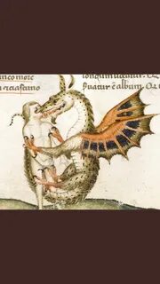 Dragony hic svnt dracones 2024