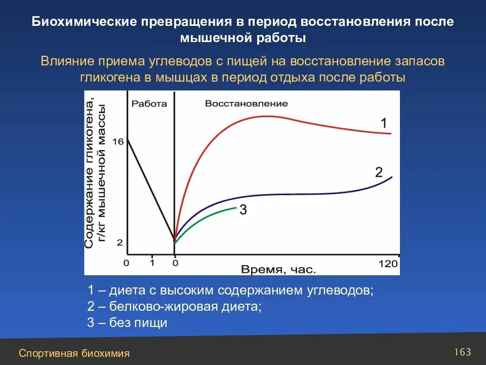 Восстановление работы мышц. Периоды восстановления после мышечной работы. восстановление запасов гликогена. биохимические превращения после мышечной работы. восстановление гликогена в мышцах.