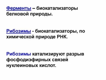 Являются биологическими катализаторами содержат пептидные связи