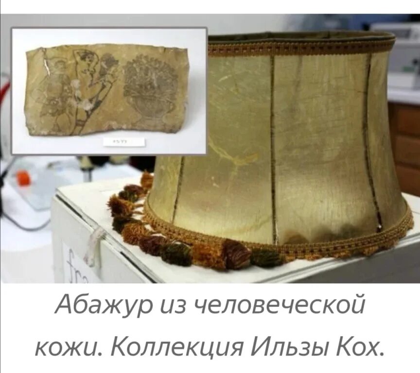 Вещи сделаны из человека