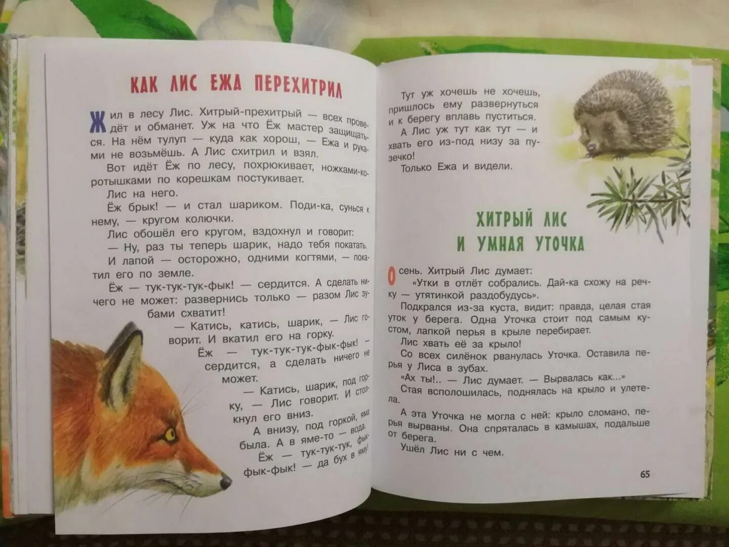Хитрый лис и умная уточка читать. Хитрый лис и умная уточка читать