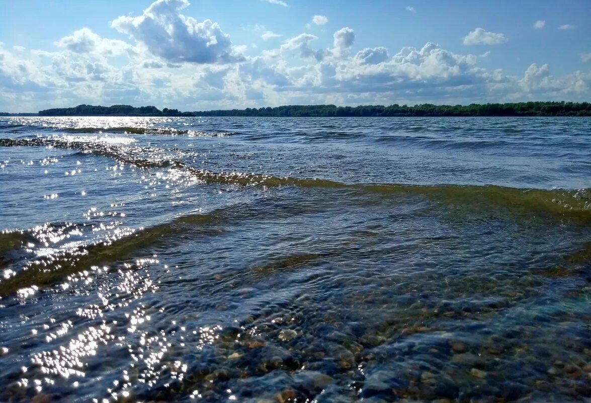 уровень воды в реке обь сургут. река обь нижневартовск фото. озеро обь. река обь поселок калпашино. река обь.