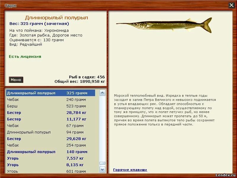 Длиннорылый полурыл. Рр3 длиннорылый полурыл. Рыба длиннорылый полурыл. Хирономида рыба.