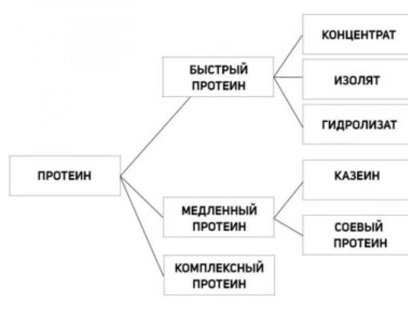 Протеин бывает. Формы протеина. Виды протеина. Виды белков сывороточный. Виды протеинов таблица.