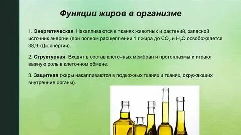 Положительная роль жира в организме. Положительная роль жира в организме. Пластическая роль жиров. Положительная роль жира в организме. Положительная роль жира в организме.