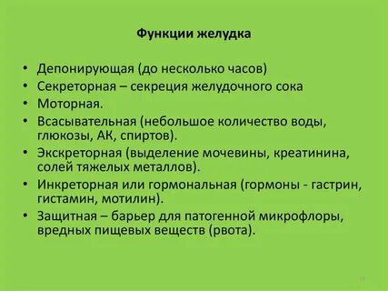 5 функций желудка