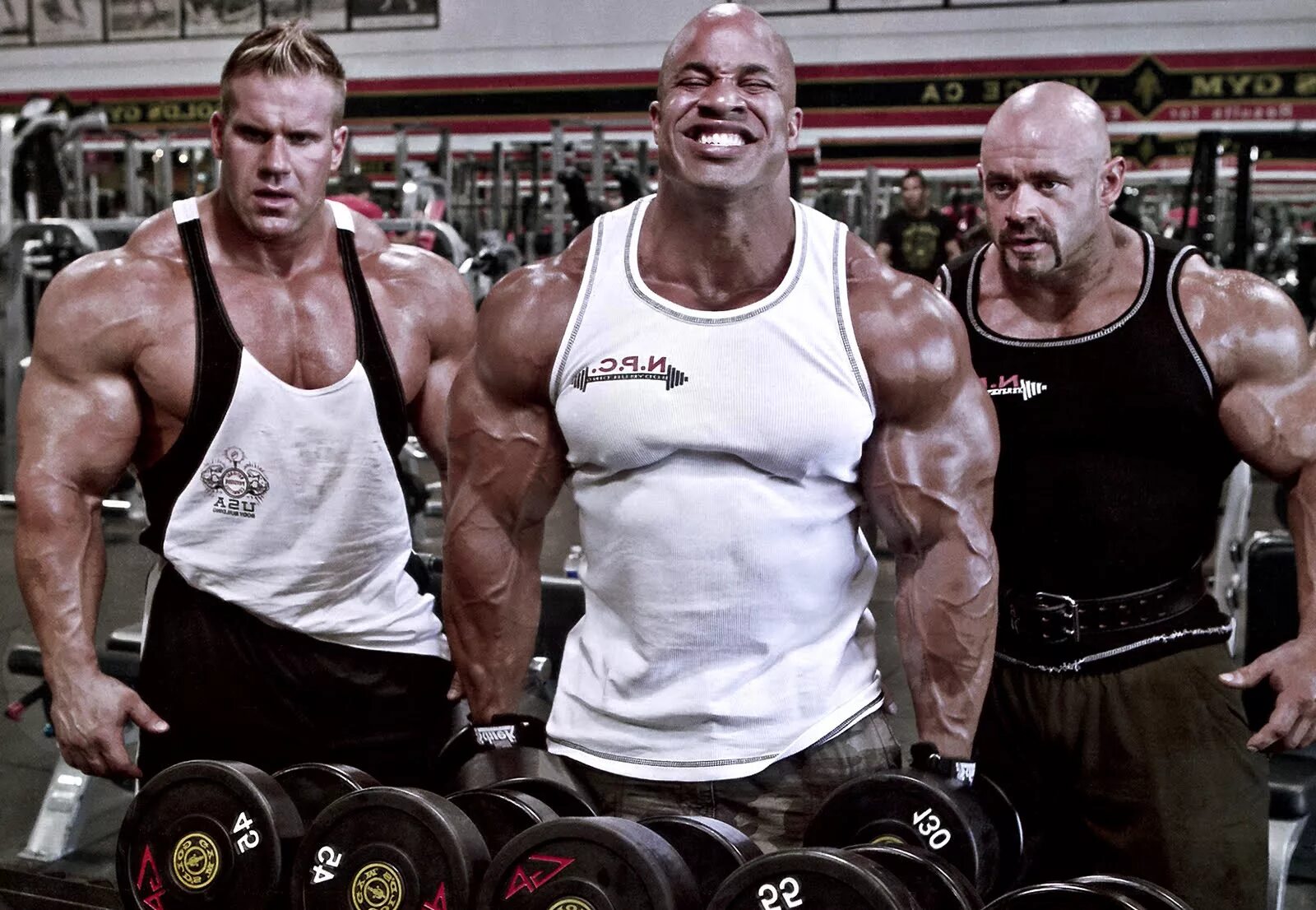 Golds gym арнольд шварценеггер. Бодибилдинг мужчины. Красивый культурист. Кач 25. Подтягивание на перекладине.