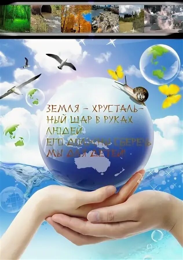 высказывания об экологии. давайте вместе землю украшать. всемирный день земли. день земли цитаты. 22 апреля день земли.