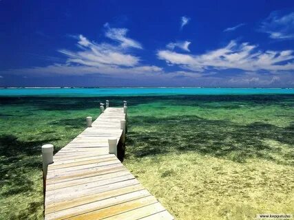 Paradise фото