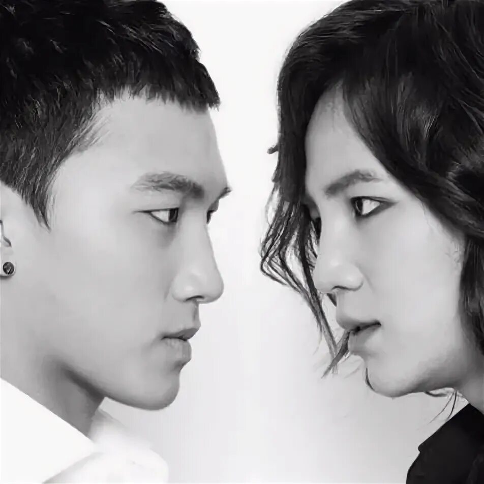 Team h. Team h the lounge h album.