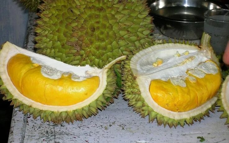 Uncommon Fruits and Veggies Exotic fruit, Weird fruit, Durian