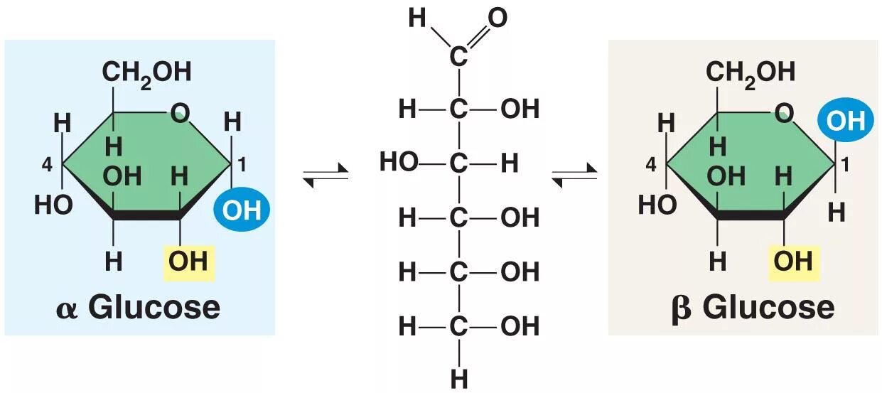 Циклическая формула глюкозы. Альфа и бета Глюкоза формула. Структурная формула Альфа и бета Глюкозы. Бета Глюкоза формула. Альфа форма и бета форма Глюкозы.