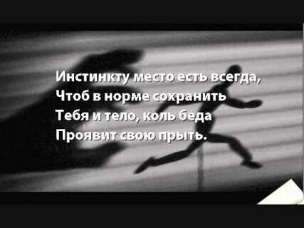 Само инстинкт
