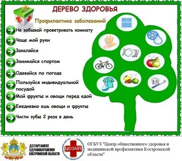 Мероприятия по основам здоровья