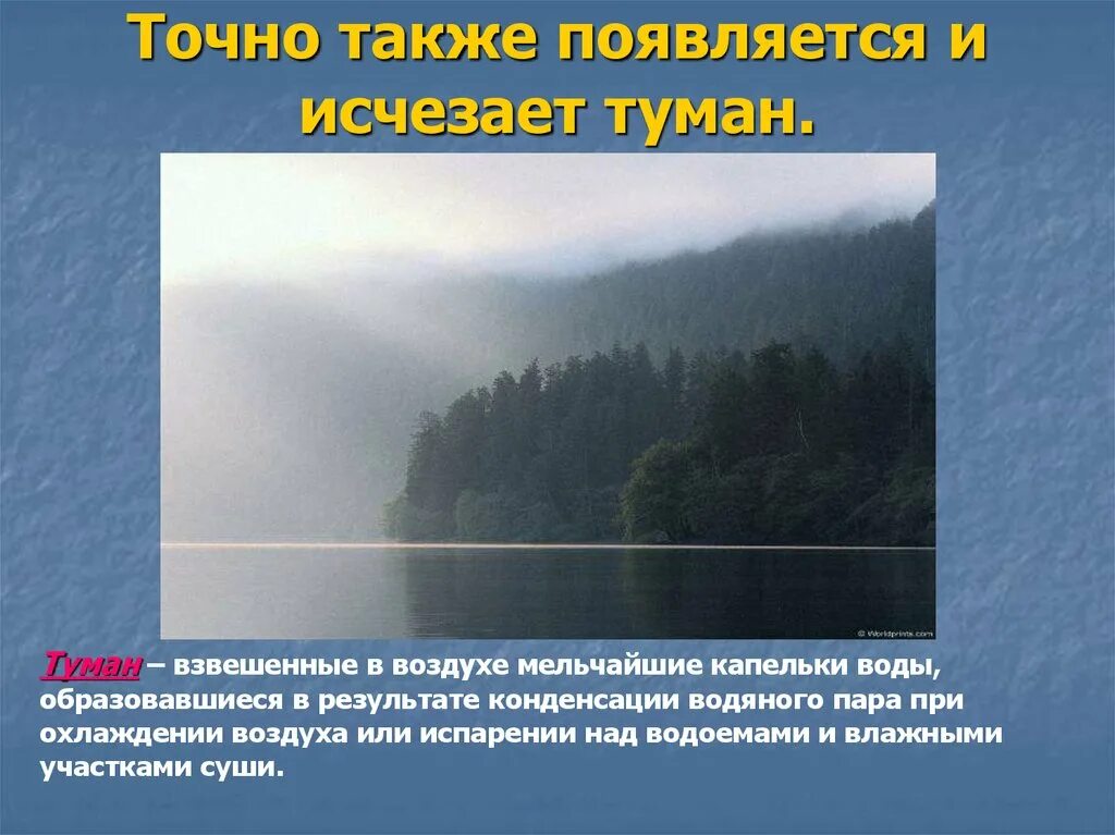 Туман какая влажность воздуха. Из за чего образуется туман. Конденсация туман. Из за чего появляется туман. Причины явления тумана.