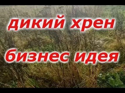 Бизнес хрен