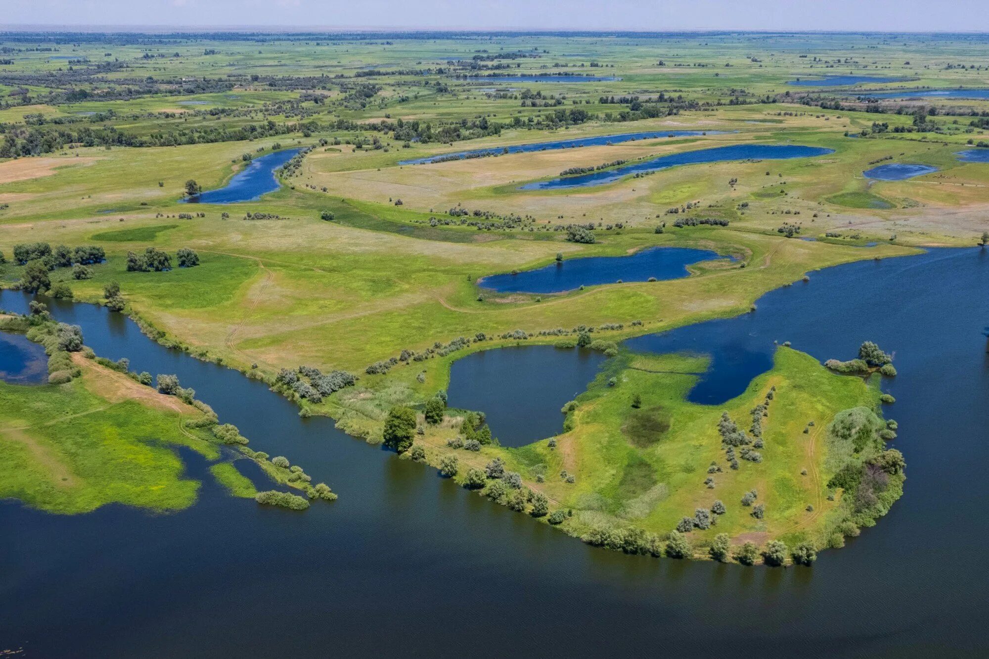 Долина и пойма реки. Ахтубинская пойма волгоград. Низкая пойма реки. Низкая пойма реки. Пойменные луга оки.